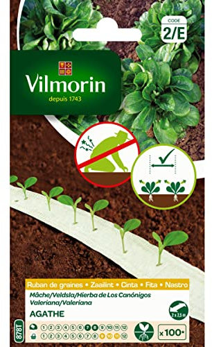 Vilmorin - Ruban de graines Mache Agathe 5 mètres