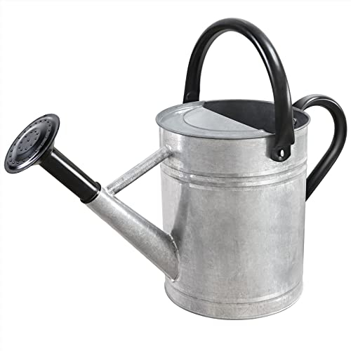 Sporgard Arrosoir en acier galvanisé de 3,8 l avec bec amovible pour jardinage extérieur et intérieur, arrosoir en métal (argent), cadeau et décoration