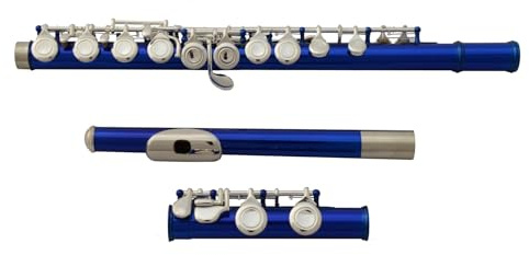 tvärflöjt instrument Professionell flöjt 16 håls flöjt