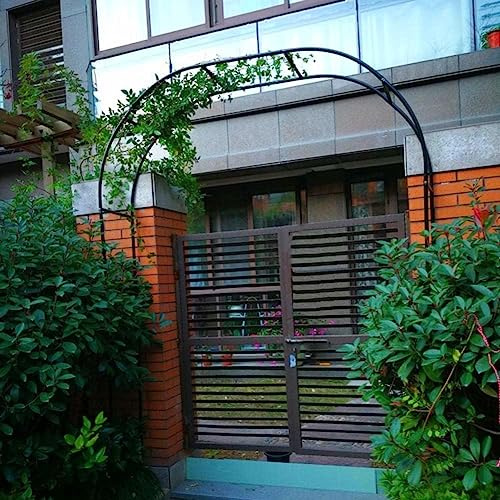 Arche de jardin en métal robuste – Grande tonnelle de roses pour plantes grimpantes Décoration de mariage Disponible en 120 cm, 140 cm, 180 cm, 240 cm de largeur, support de jardin