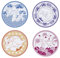 ABYSTYLE - Pokemon Set mit 4 Tellern im japanischen Stil