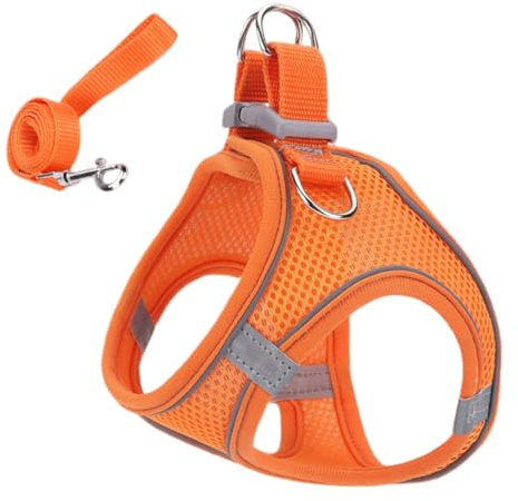 Harnais pour Chat | Set Harnais Et Laisse pour Chat - Veste De Securite Taille S M L pour Chaton Et