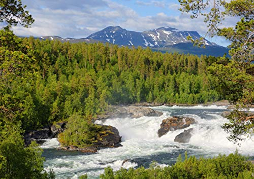 Im hohen Norden Norwegens (Tischaufsteller DIN A5 quer)