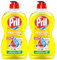 PRIL Kraft Gel Zitrone (2x 450 ml), Handgeschirrspülmittel mit höchster Fettlösekraft, für sauberes Geschirr auch in kaltem Wasser, frischer Zitronenduft
