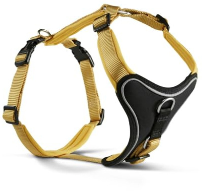 Wolters Geschirr Professional Comfort, Größe:50-60 cm, Farbe:Curry gelb