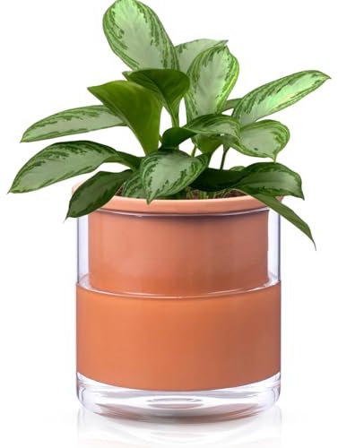 Afrikanische Veilchen-Töpfe, selbstbewässernde Töpfe für Zimmerpflanzen, Terrakotta-Tontopf mit Glasbehälter, selbstbewässernder Pflanzkübel mit saugfähigem Innentopf für Blumen