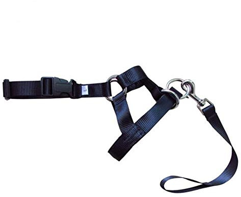 HABADOG Nylon Dogs Head Collar Dog Training Halter Blue Red Black Colors S M L XL XXL Sizes (Color : Black, Size : XXL)