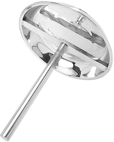 TOYANDONA Barbecue pour Poulet Acier Inoxydable Plaque à Rôtir Pratique Support Antiadhésif pour Poulet pour Camping Et Pique-