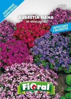 Sementi da fiore di qualità in bustina per uso amatoriale (AUBRETIA NANA IN MISCUGLIO)
