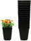 Murgiplast Macetas de Plástico Cuadradas para Cultivo de Interior, Maceteros de Plantación de Semillas para Grow, Contenedores de Exterior para Plantas y Flores, 1 litro, 10x10x14 cm, 15 Unidades