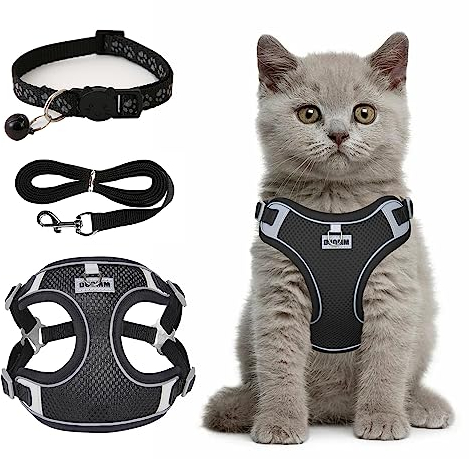 Avvrel Katzengeschirr mit Leine, Verstellbare Katzen Geschirr Reflektierend Brustgeschirr, Step-in Welpengeschirr, Komfortables Atmungsaktives Katzengeschirr für Kleine Hunde, Haustier, Katzen (S)