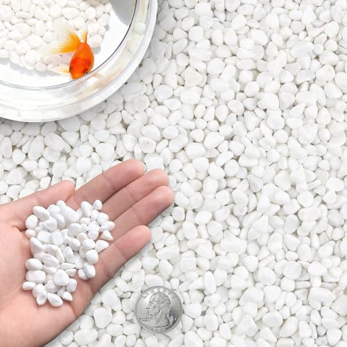CHEOAR Piedras Blancas para Jardín 3 lb (1.4 kg), 12-15 mm - Piedras Decorativas Naturales para Macetas, Jardín, Jarrones, Acuarios y Exteriores - Piedra Blanca Jardin - Grava Jardin Blanca