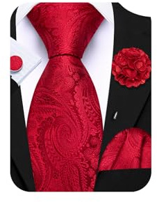Barry.Wang Ties for Men Paisley 63'' Extra Long Silk Necktie Pocket Square Cufflinks and Lapel Pin Set Wedding Party
