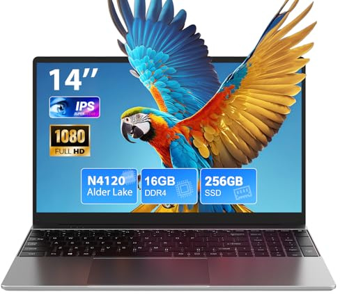 SADSYMB PC Portatile 14 Pollici 16GB DDR4 256GB SSD, Win 11 Notebook con Quad Core Celeron N4120, 1920 * 1080 IPS FHD Portatile Laptop con WiFi 5, Mini HDMI, USB-3.0, Mouse Inclusi