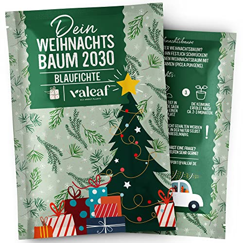 valeaf Weihnachtsbaum 2030 I Blaufichte Pflanzen Samen zum Weihnachtsbaum pflanzen I Weihnachtsbaum Samen ideal als Geschenk u. Wichtelgeschenk I Christbaum selbst pflanzen mit Tannenbaum Samen