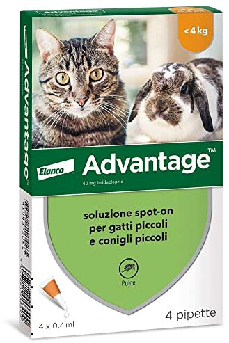 Advantage Soluzione Spot On per Gatti e Conigli Piccoli, 40 mg, 4 Pipette
