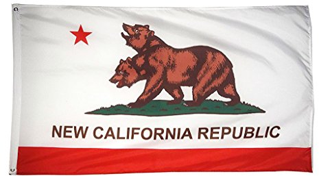 DANF FLAG New California Republic Flag Banner 3ftx5ft Polyester with Brass Grommets
