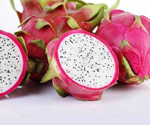 60 Graines de Fruit du Dragon Pitaya - cactus jardin- semences paysannes reproductibles - SemiSauvage