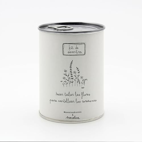 Kit para Plantar Flores en Caja - Semillas de Flores de Colores - Regalo Original para Amigos, Familiares, Fiestas y Cumpleaños - Regalo Ecológico para el Día de la Familia - Fácil de Usar (Flor)