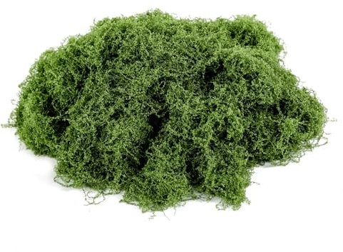 Bieiyhe 100g Bastelmoos Natur,Konserviertes Moos Deko,Kunstmoos zum Basteln,Islandmoos Fake,Getrocknetes Moos,Kunstmoos zum Dekorieren, Trockenmoos,Bastel Moos Konserviert, Künstliches Moosbild