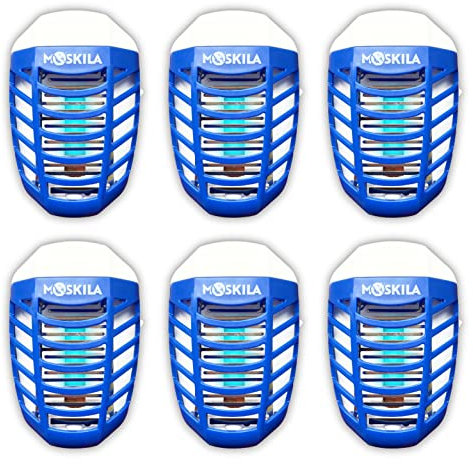 Piège à Mouches des Fruits d'intérieur 6 pièces - Piège à Mouches pour la Maison Plus sûr - Tue-Insectes - Tue-Mouches - Tue-Insectes pour Usage Domestique - Piège à Insectes pour la Cuisine