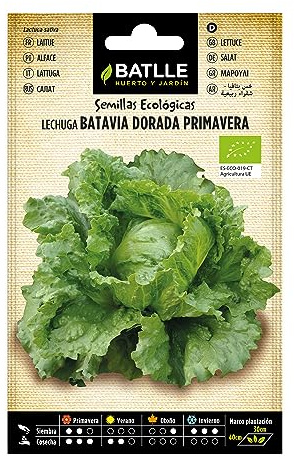 Semillas Batlle Lechuga Batavia Dorada Primavera - ECO