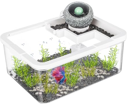 Aquarium Beta, décoration de table basse, système d'éclairage hydroponique ancien avec pompe USB pour Betta Crevettes, méduses aquaponiques, chambre à coucher, hôpital