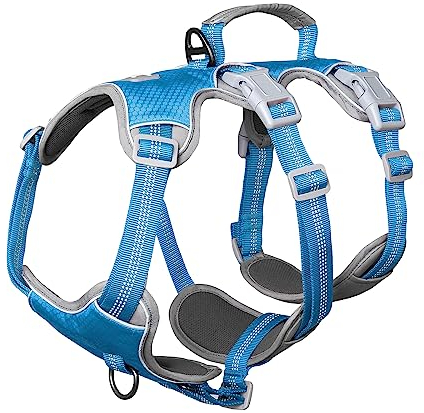 Huntboo Sicherheitsgeschirr Hund Ausbruchsicher, hundegeschirr kleine hunde, Reflektierendes Geschirr mit Gepolstertem Griff, Verstellbare Weste für Kleine Hunde,die Spazieren Gehen (Blau,S)