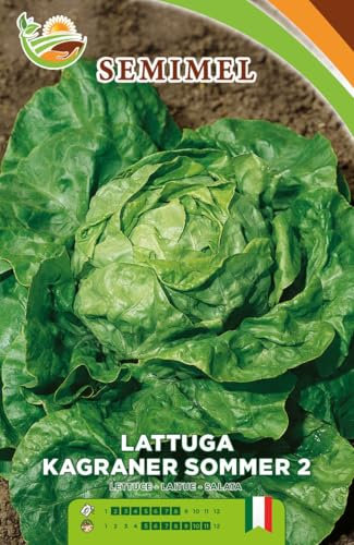 Lattuga Kagrane Sommer 2 - Semi di Lattuga a Cespo Voluminoso con Foglie Verde Medio, Facile Coltivazione Primaverile ed Estiva 2 confezioni