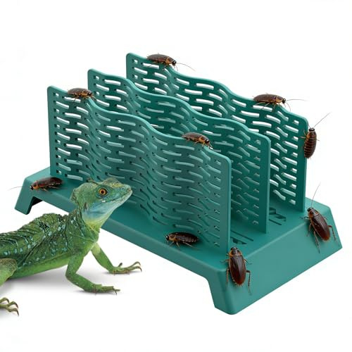 Générique Reptiladispenser, läckagesäker matlåda, skål för skäggig | för kameleont, gecko, , terrarium jaktstimulering