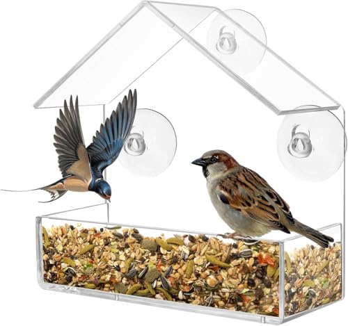 Transparent Fågelmatare För Fönster Med 3 Sugkoppar. Fågelholk Utformad För Att Locka Vilda Fåglar. Hållbar Och Enkel Att Installera.