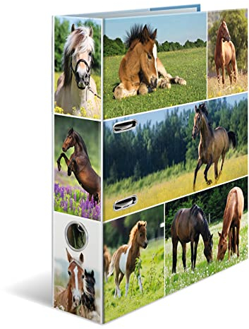 HERMA Ordner A4 Pferde, 7 cm breit, Kinder Ringordner mit Tier Motiv, bunter Aktenordner mit Innendruck für Jungen und Mädchen