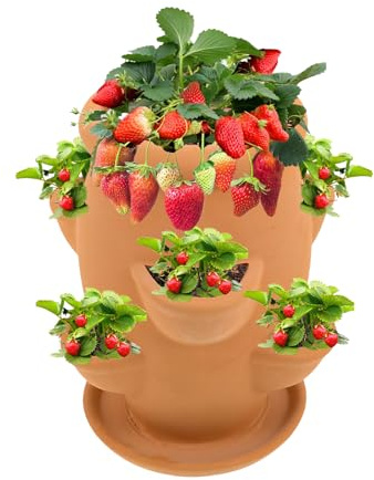Genérico Torre de Fresas, de Fresas de Terracota, Ornamental con platillo | para artículos de jardinería, Verduras, Flores, orquídeas, Balcones, Patios, Hierbas, Plantas, decoración Interior y ex