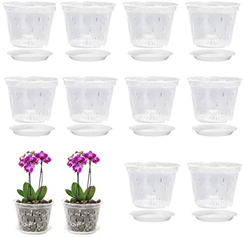 10 vasi per orchidee, trasparenti, 14 cm, in plastica con fori e piattini, per interni ed esterni, da giardino, balcone, per piantare fiori, orchidee, , piante viola