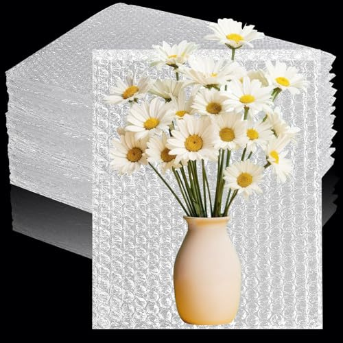 25Pcs Large Bubble Pouches, 16” X 20” Clear Bubble Pouch Wrap Bags for Packing, Double Walled Moving Supplies Bubble Bags Wrap for Fragile Dishes China Plates, Bubble out Bags for Shipping Moving