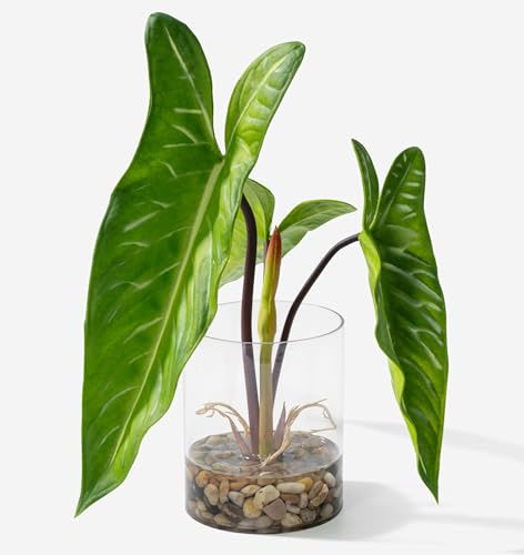 SUNPRAIRIE Realistic Faux Plant in Clear Pot with Artificial Water, Narrow Arrowhead Leaves. Artificial Plants Indoor and Outdoor