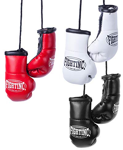Fightinc. Mini Boxhandschuhe Paar - ideal für Autospiegel, Sporttasche, Schlüsselanhänger UVM Boxen Kickboxen Muay Thai MMA Kampfsport schwarz (001)