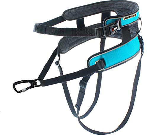 I-dog HÜFTGURT Canyon PRODUKTREIHE ALM