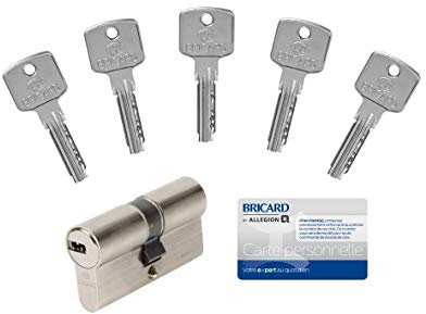 Bricard CYLINDRE A6, 30+30, NON DEBRAYABLE fourni avec 5 Clés, anti perçage et crochetage. Garantie 10 ans