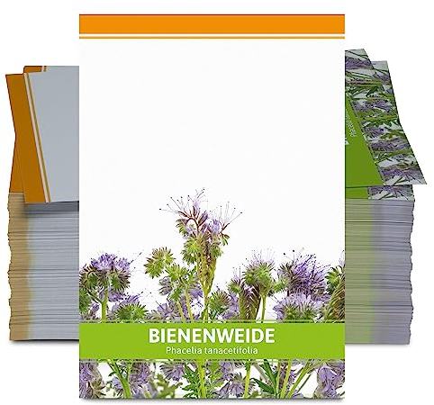 FLORTUS Bienenweide für Gastgeschenke (100 Stück) | Phacelia Blumensamen für Bienen & Insekten als Dankeschön Geschenke & Werbegeschenke