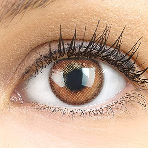 GLAMLENS Lenti a contatto colorate marrone scuro Mirel Choco Hazel - mensili - con porta lenti a contatto - marroni naturale in silicone idrogel - 2 pezzi - DIA 14.0 - senza correzione 0.00 diottrie