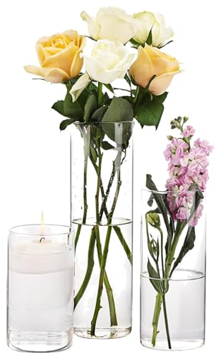AKOLAFE 3 Pezzi Cilindro Vaso Fiori 15/20/25cm Vaso Vetro Trasparente Moderni Vaso Alto Vetro, Vaso di Fiori In Vetro, Vaso Decorativo da Interno per Rose, Pampa, Erba, Centrotavola Matrimonio