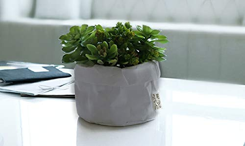 B&P Italia - Bolsa cubremaceta para Plantas, de Fibra de celulosa, Avana