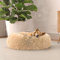 Italian Bed Linen Hundehütte Dreams für Tiere, Vanille, 50x50x20 cm