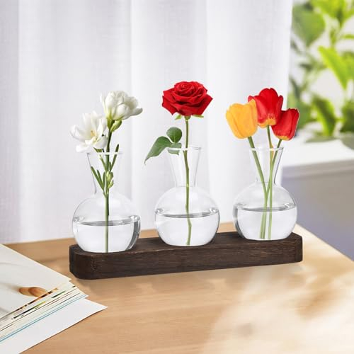 Geegear Blumenvase, 3 Pcs Glühbirne Glas Kleine Vasen Modern hydroponische Vasen Mit Holzregal Schreibtisch Pflanzer Mini Deko Vasen Für Wohnzimmer Outdoor Taufe Geburtstag Hydroponik Deko