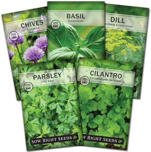 Sow Right Seeds - 5 Herb Seed Collection for Planting - Genovese Basil, Chives, Cilantro, Italian Parsley, and Dill to Plant and Grow a Home Vegetable Garden - Fresh Assortment Herbal Variety Pack