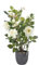 Premium Künstliche Rosen 50-55 cm, Kunstblumen wie Echt, Blumen Deko, Kunstrosen im Topf, Blumentopf aus Beton, Hergestellt in der EU, 6 große Blüten und 3 große Knospen, Fake Rose - Cremig