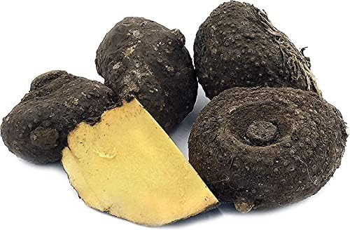 DX Suran | Jimikand | Elephant Foot yam Extracts Powder-100 Gram Pack