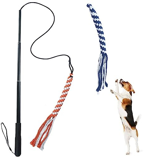 ASOCEA Reizangel für Hunde - Profi-Spielzeug für Ultimativen Spielspaß und Körperliche Auslastung - Für Kleine, Mittlere und Große Hunde