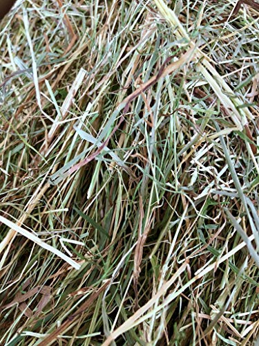 Heu Premium 1. Schnitt weiche Struktur für Meerschweinchen (ca. 11kg)